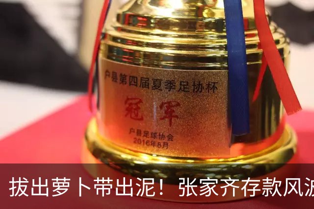 拔出萝卜带出泥！张家齐存款风波发酵，律师发声，母亲或涉嫌违法