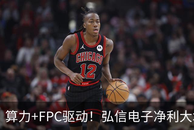 算力+FPC驱动！弘信电子净利大增139%，股价较年内高点回撤超40%
